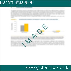 グローバルリサーチ調査レポートのイメージ